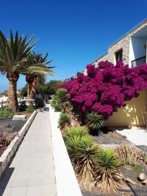 Maravilla Bungalows El Cotillo  Екстер'єр фото